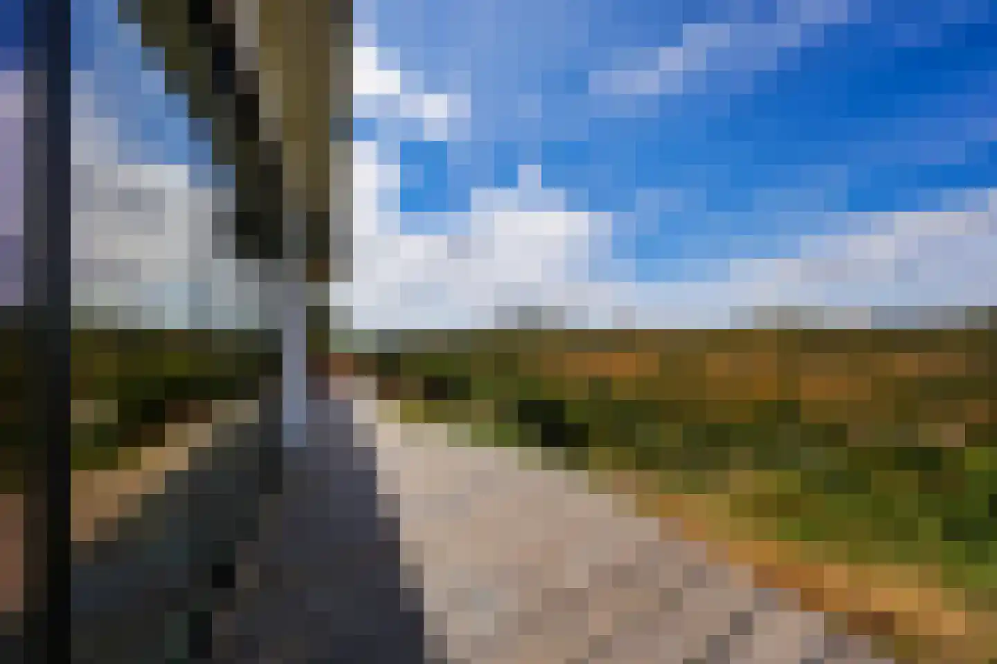 Nieuwe Weg 1 Eede thumbnail 73
