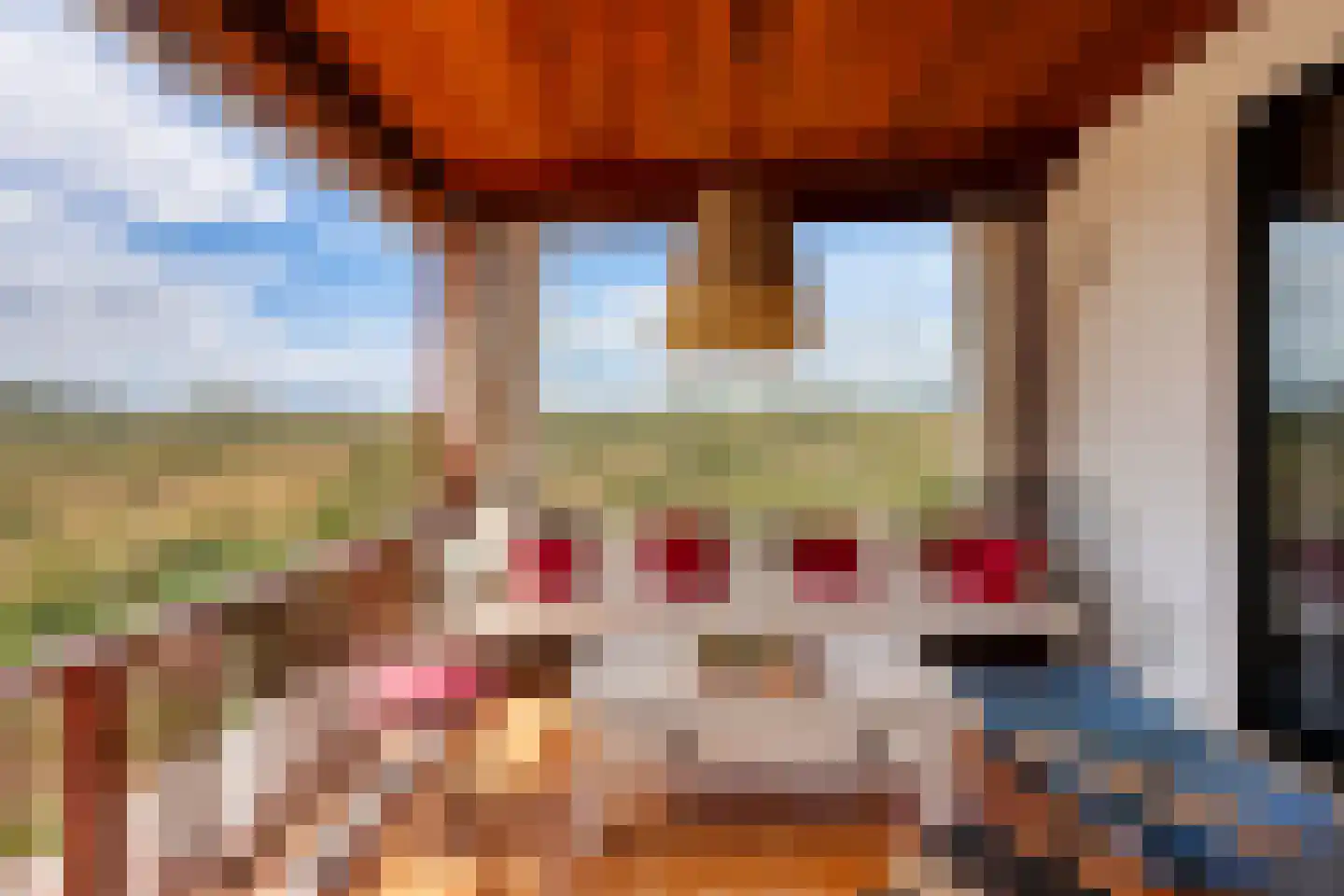 Nieuwe Weg 1 Eede thumbnail 75