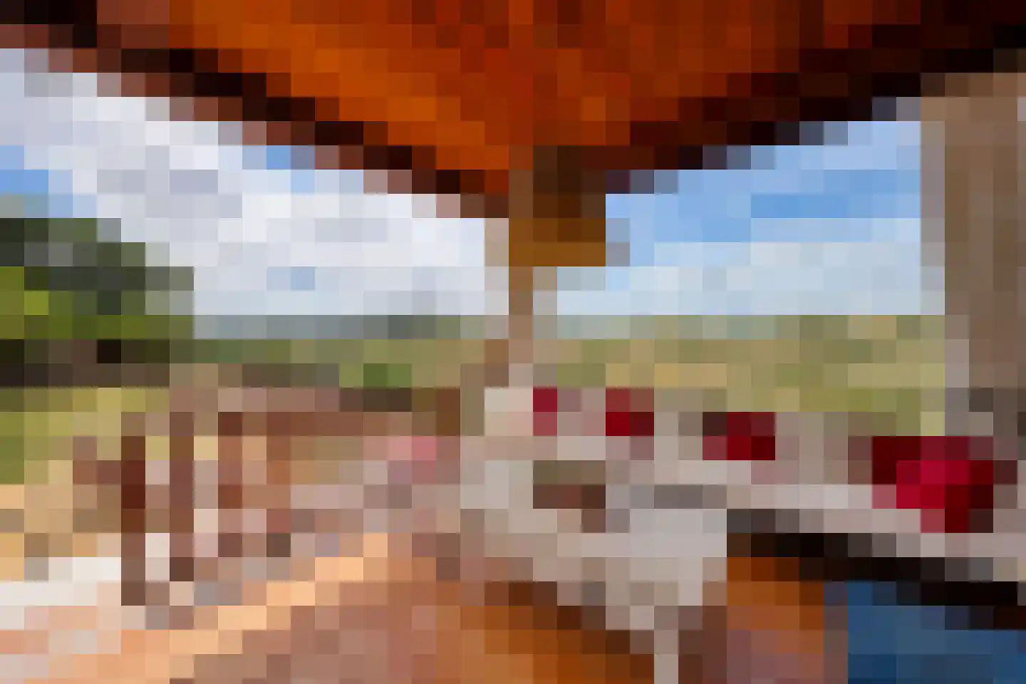 Nieuwe Weg 1 Eede thumbnail 77