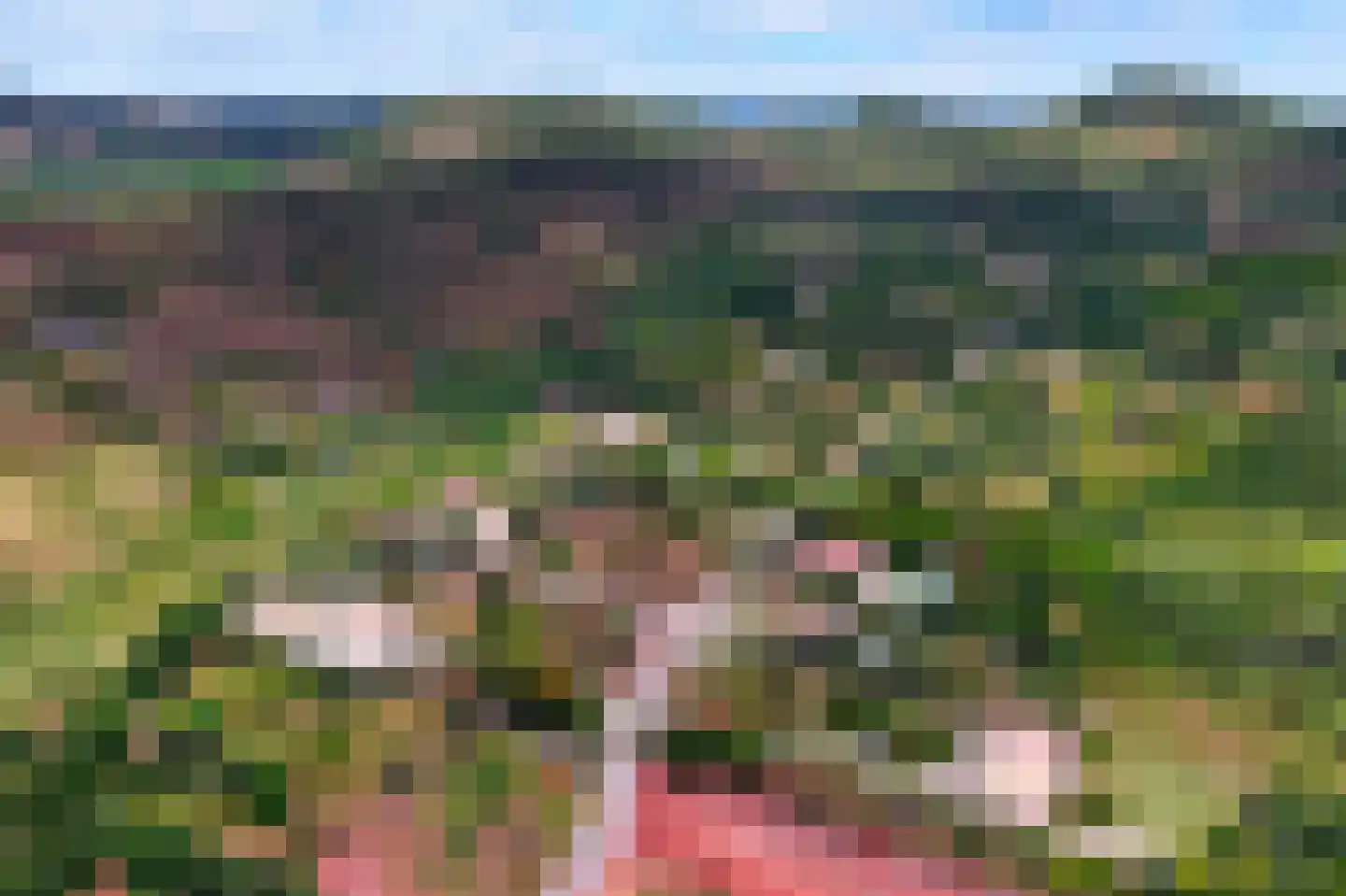 Nieuwe Weg 1 Eede thumbnail 83