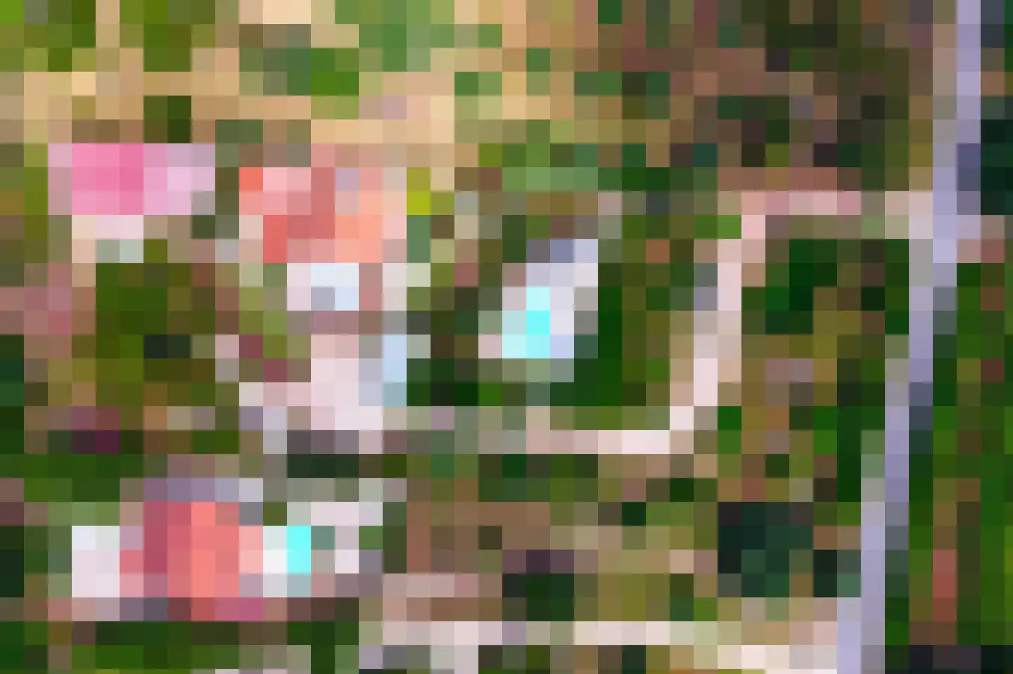 Nieuwe Weg 1 Eede thumbnail 84