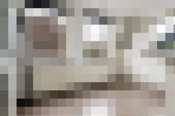 Nieuwe weg 10 Veenoord thumbnail 12