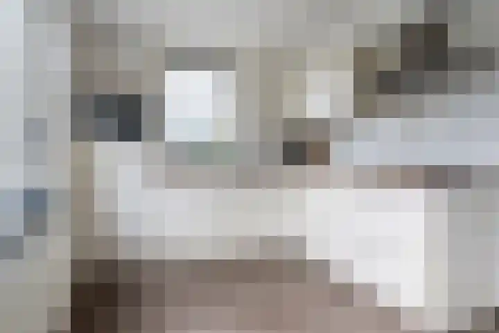Nieuwe weg 10 Veenoord thumbnail 13