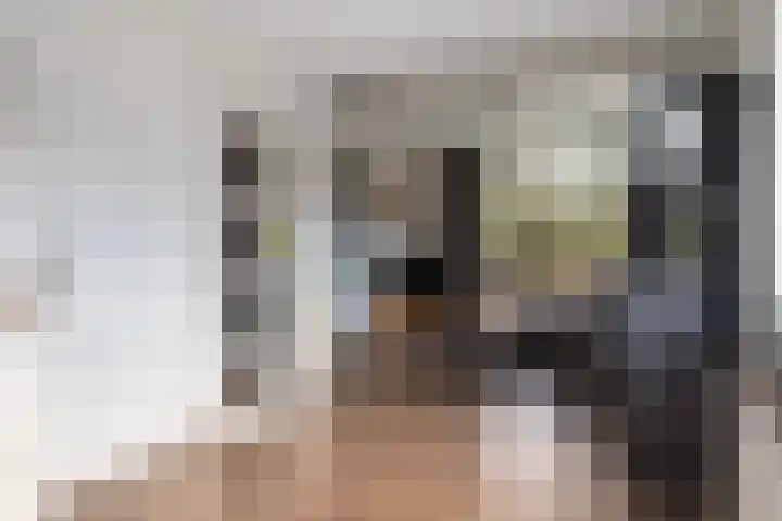 Nieuwe weg 10 Veenoord thumbnail 15