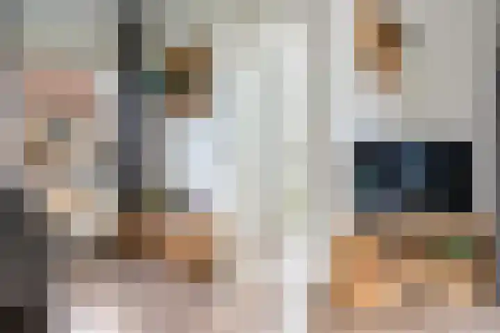 Nieuwe weg 10 Veenoord thumbnail 18