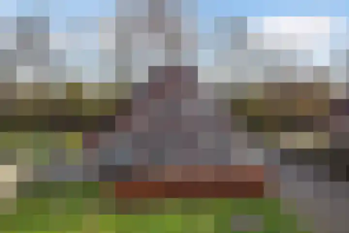 Nieuwe weg 10 Veenoord thumbnail 28
