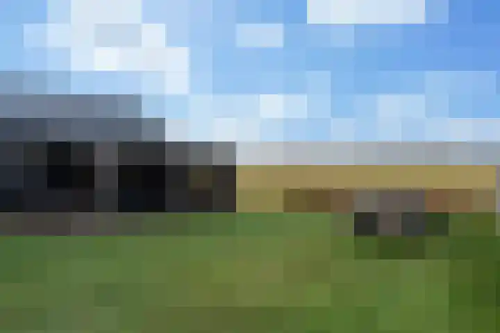 Nieuwe weg 10 Veenoord thumbnail 29