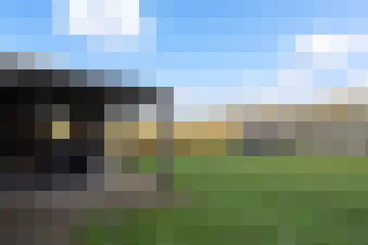 Nieuwe weg 10 Veenoord thumbnail 33