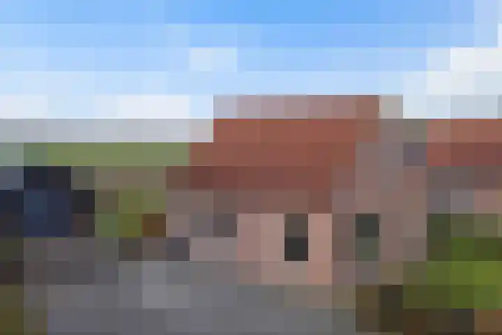 Nieuwe weg 10 Veenoord thumbnail 35