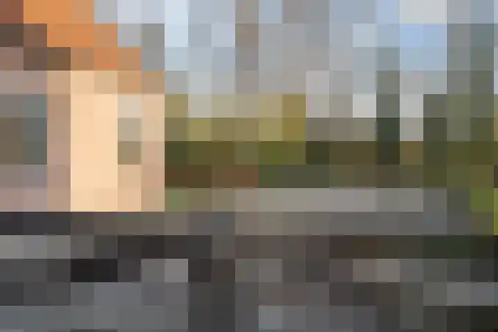 Nieuwe weg 10 Veenoord thumbnail 38