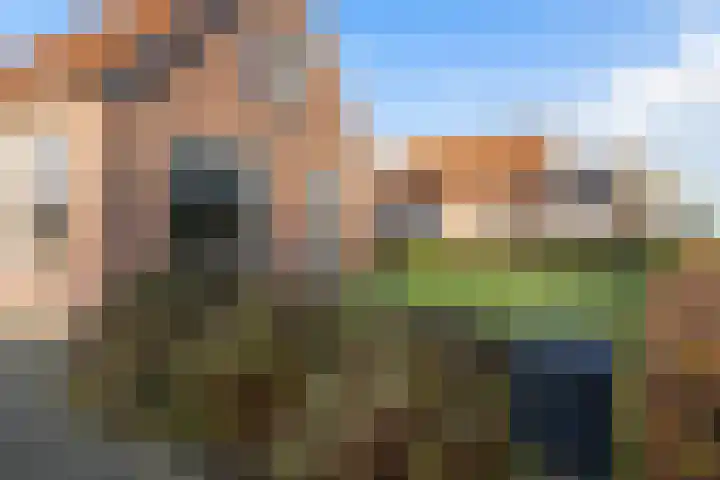 Nieuwe weg 10 Veenoord thumbnail 39