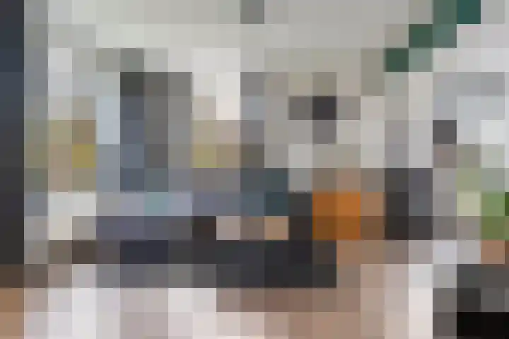 Nieuwe weg 10 Veenoord thumbnail 4