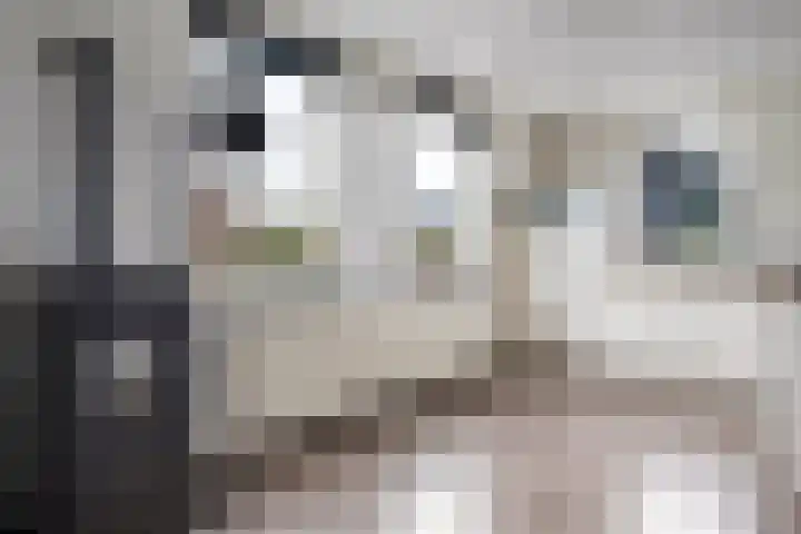 Nieuwe weg 10 Veenoord thumbnail 5