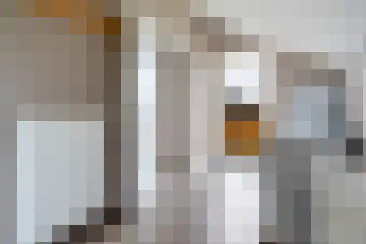 Nieuwe weg 10 Veenoord thumbnail 7