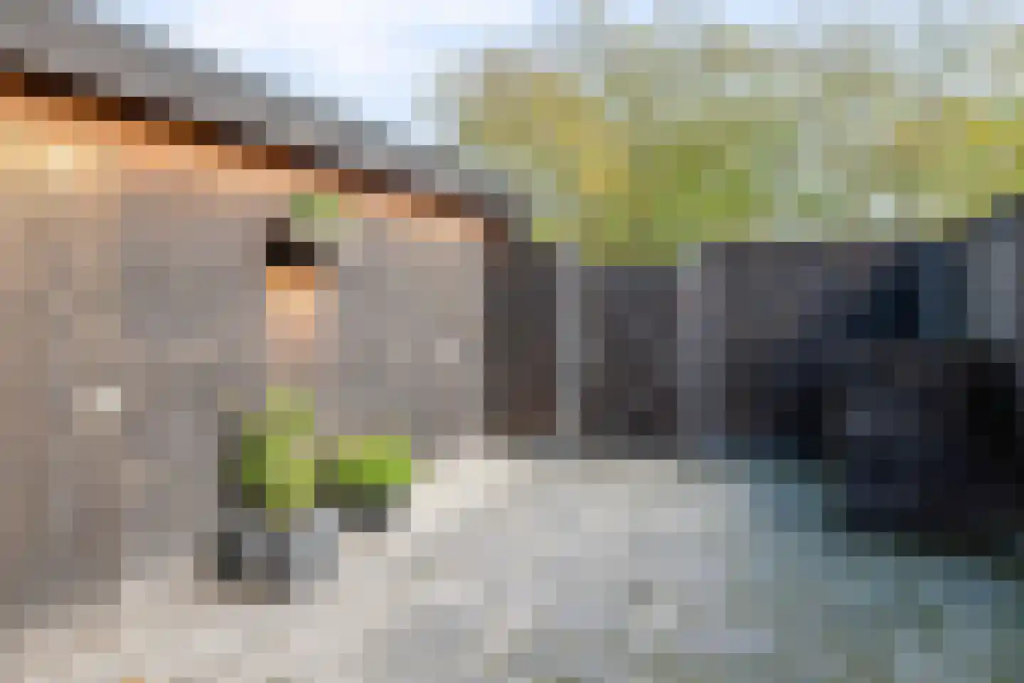 Nieuwe Weg 111 Veenoord thumbnail 14