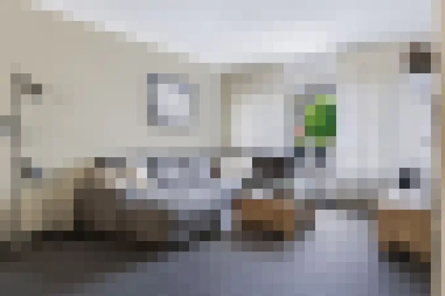 Nieuwe Weg 111 Veenoord thumbnail 19