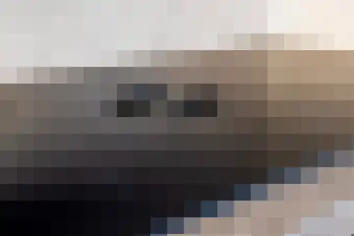 Nieuwe weg 121 Veenoord thumbnail 13