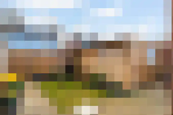Nieuwe weg 121 Veenoord thumbnail 29