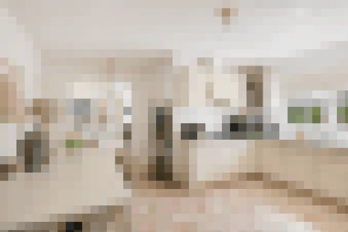 Nieuwe weg 17 Ingen thumbnail 14