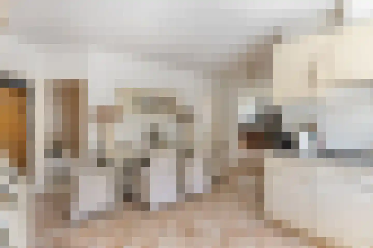 Nieuwe weg 17 Ingen thumbnail 15