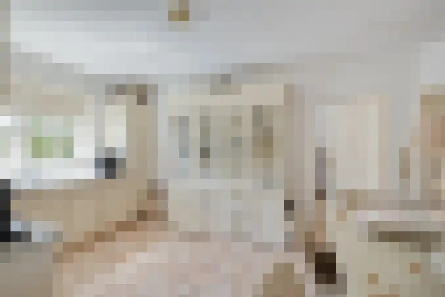 Nieuwe weg 17 Ingen thumbnail 16