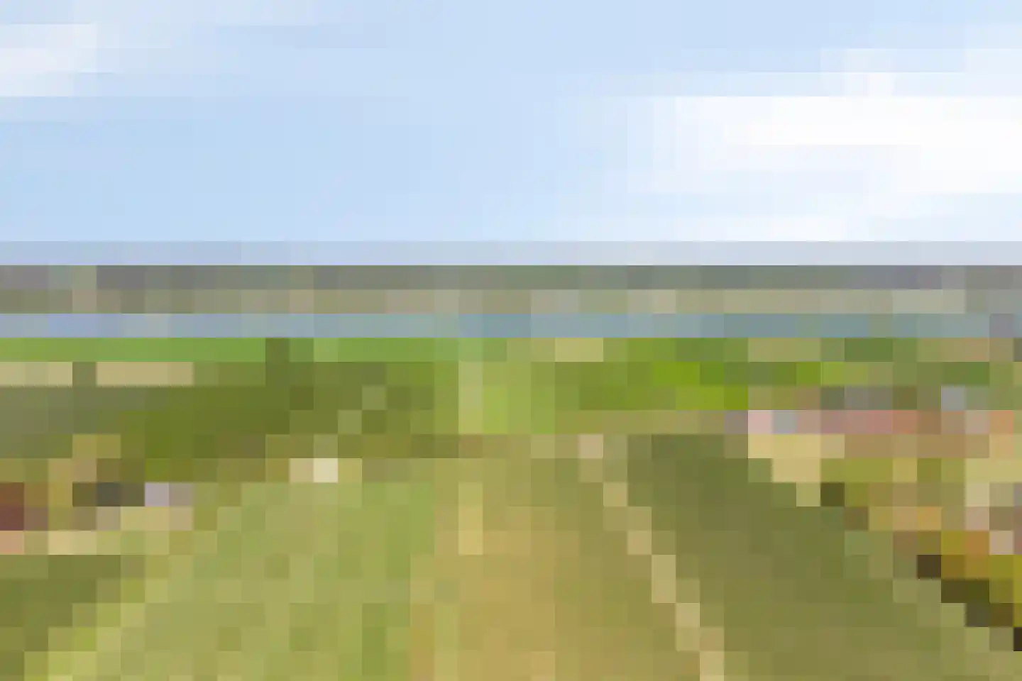 Nieuwe weg 17 Ingen thumbnail 28