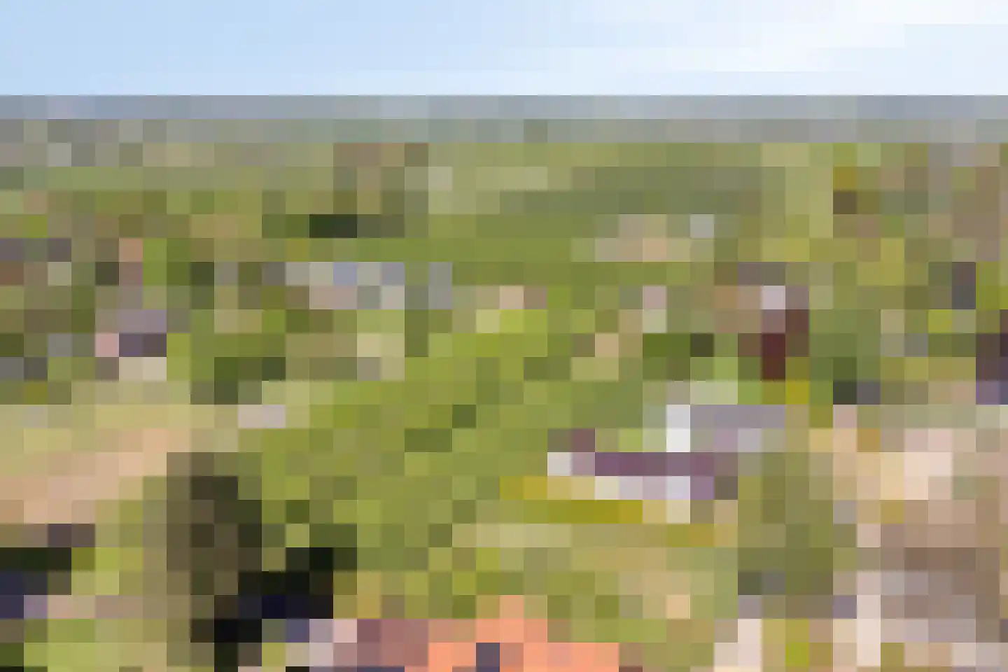 Nieuwe weg 17 Ingen thumbnail 29