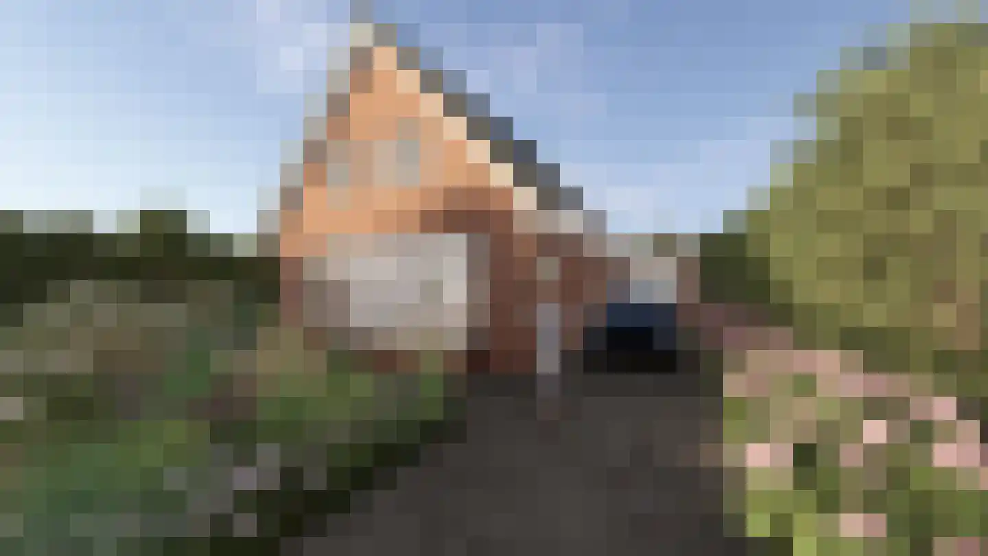 Nieuwe weg 17 Ingen foto 3