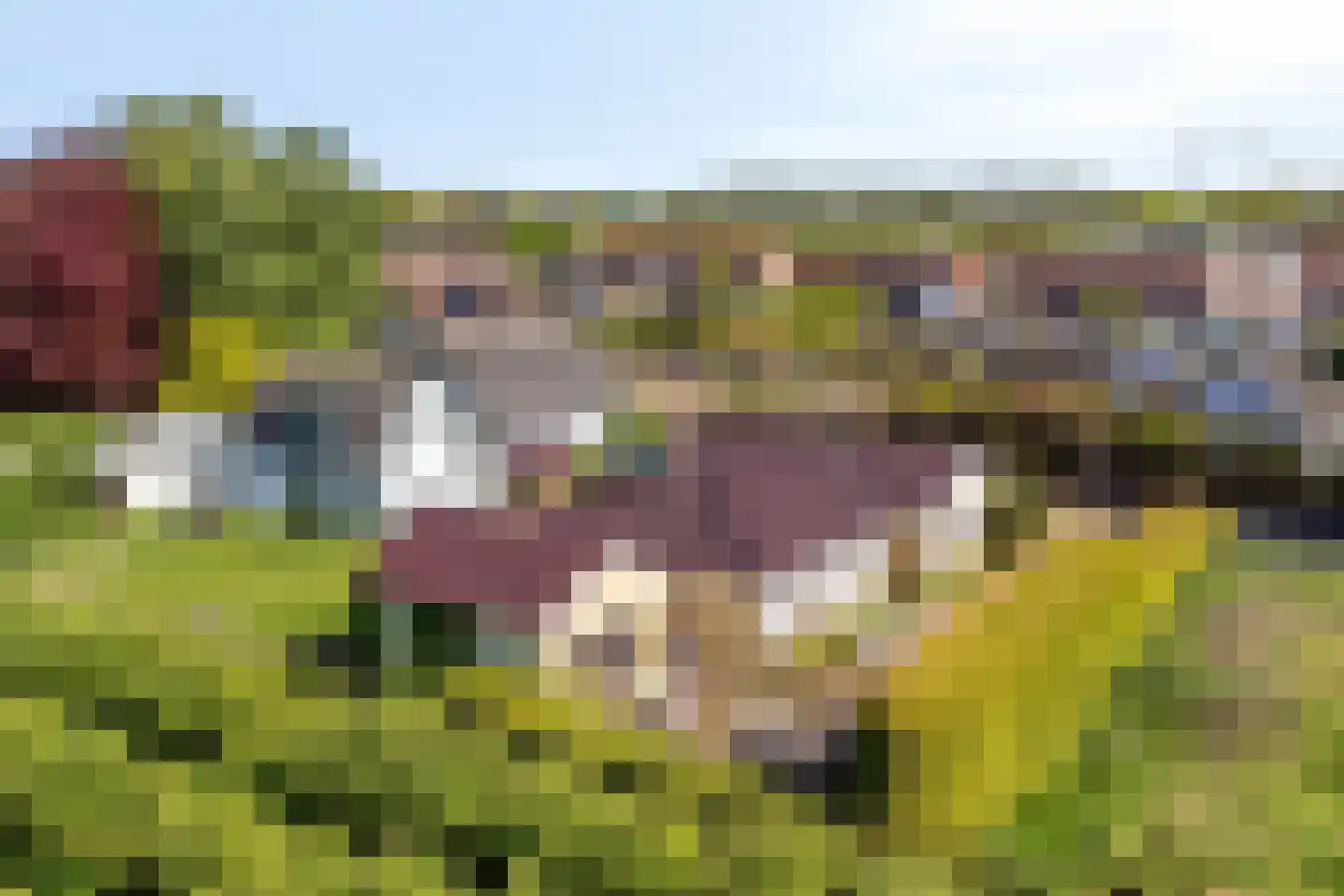 Nieuwe weg 17 Ingen thumbnail 31