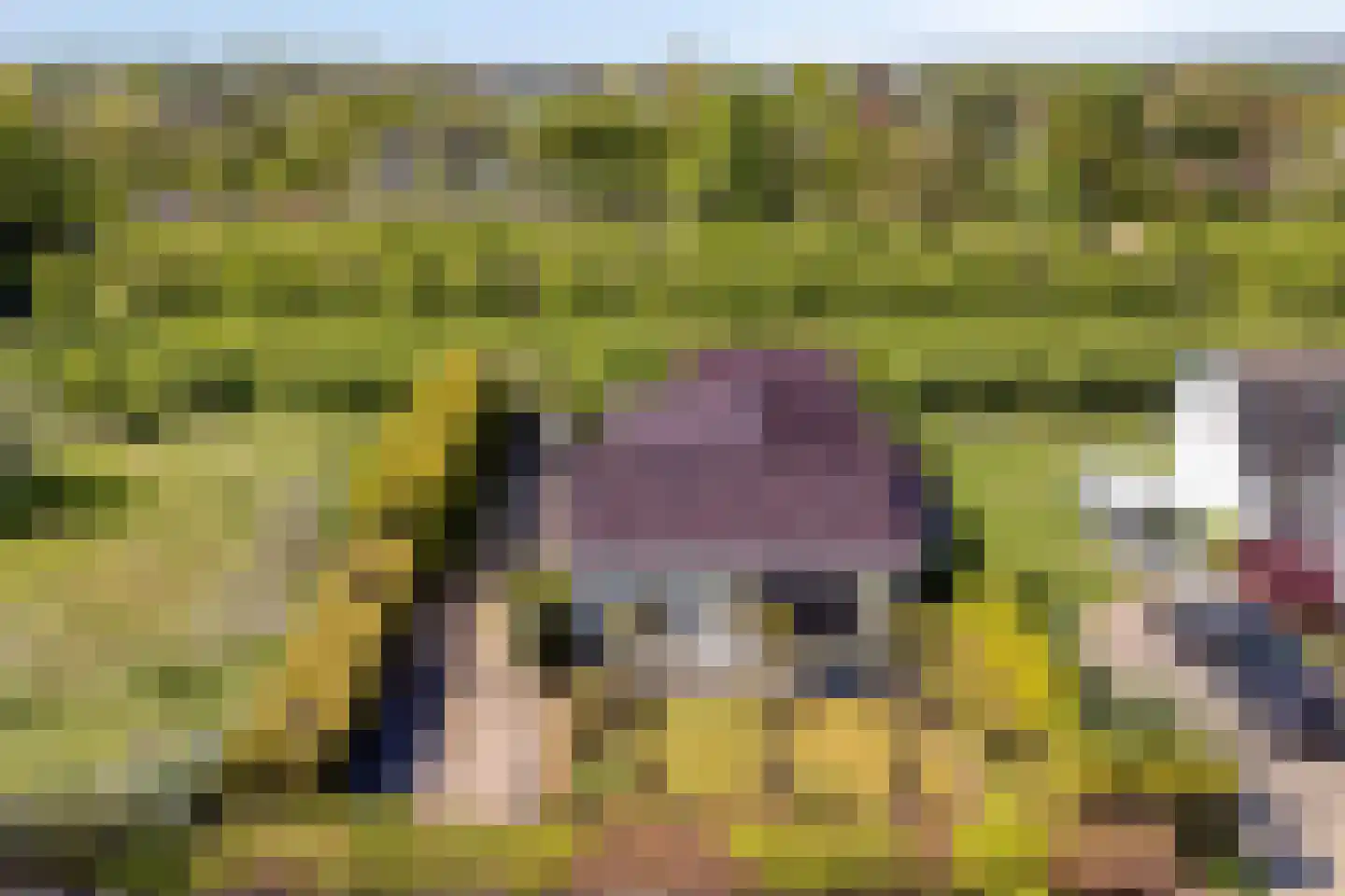 Nieuwe weg 17 Ingen thumbnail 32