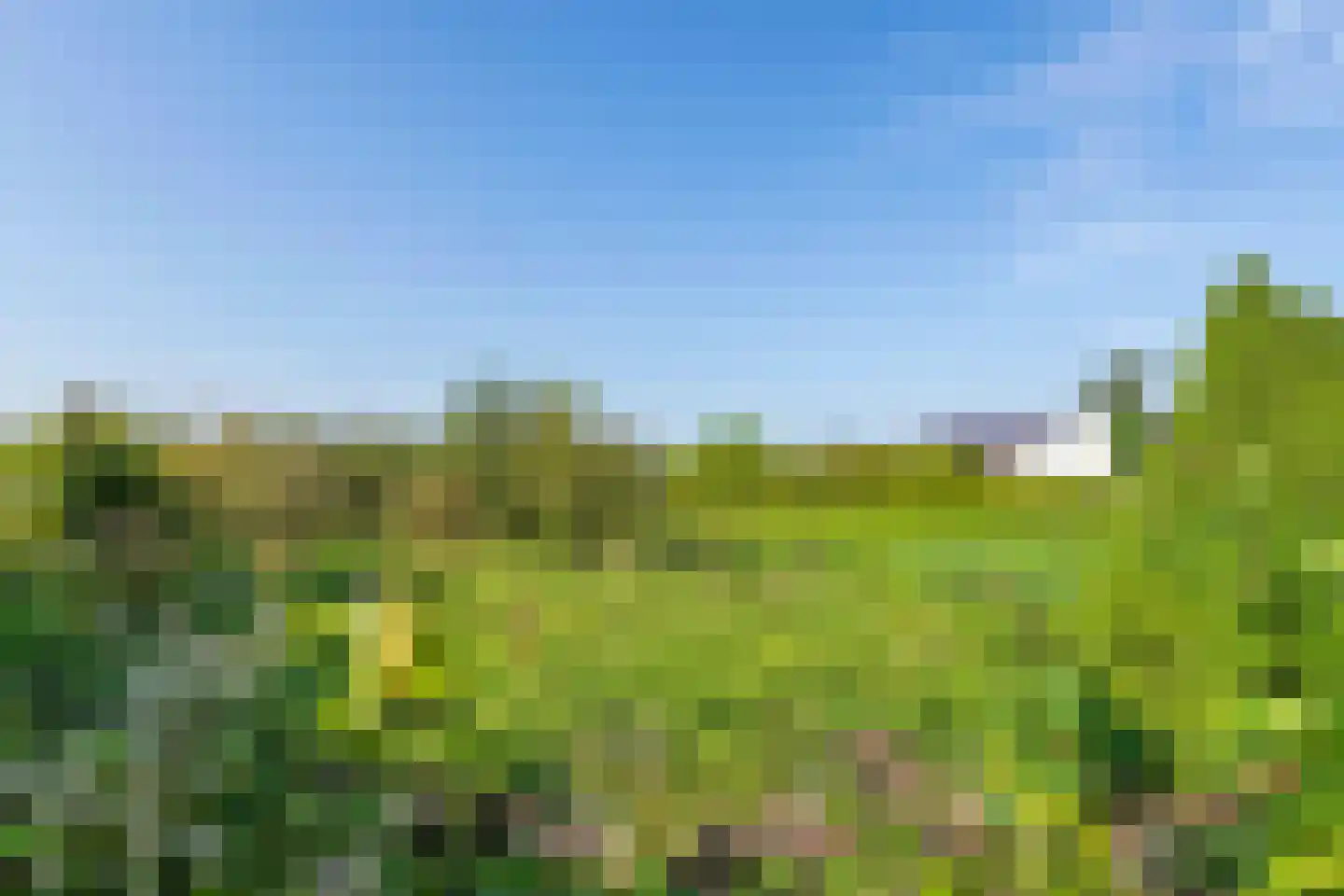 Nieuwe weg 17 Ingen thumbnail 5