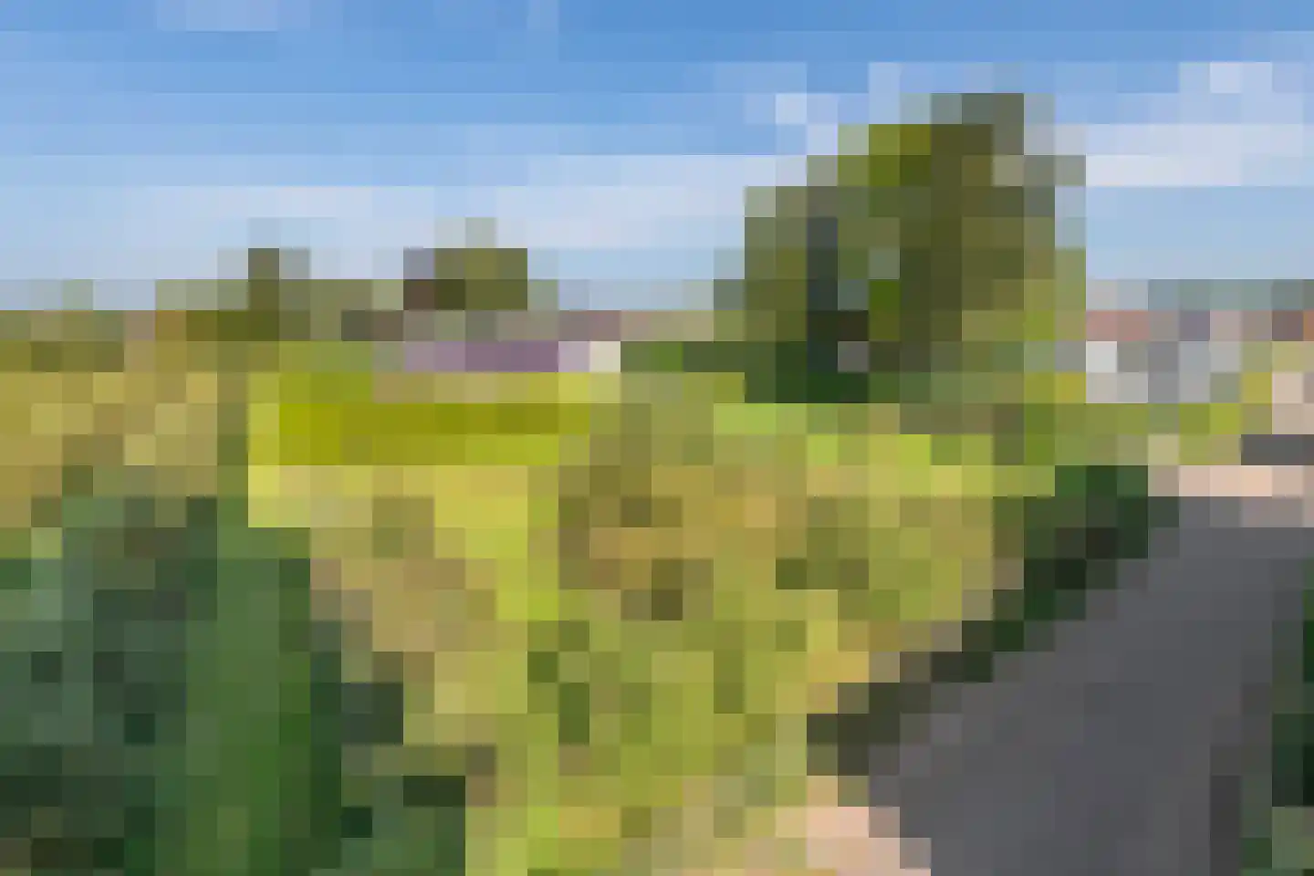 Nieuwe weg 17 Ingen thumbnail 8