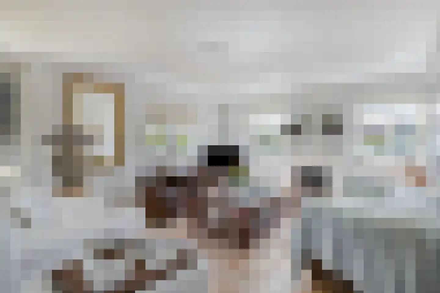 Nieuwe weg 17 Ingen thumbnail 8