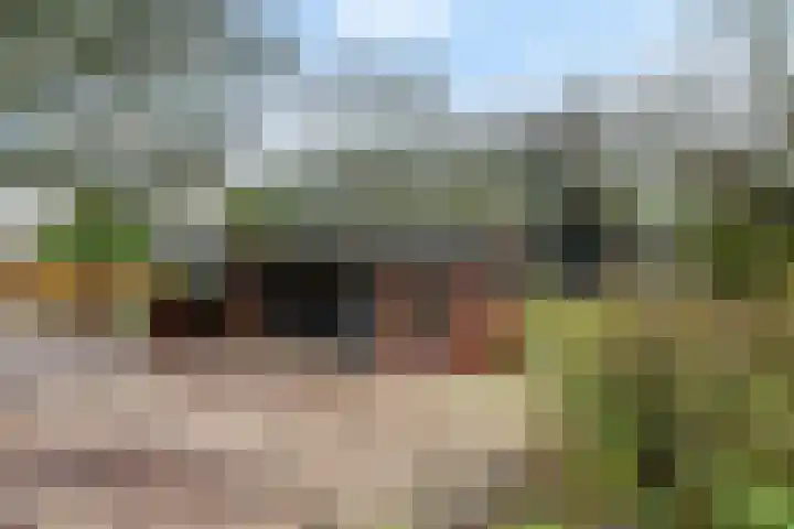 Nieuwe weg 2 Ingen thumbnail 10
