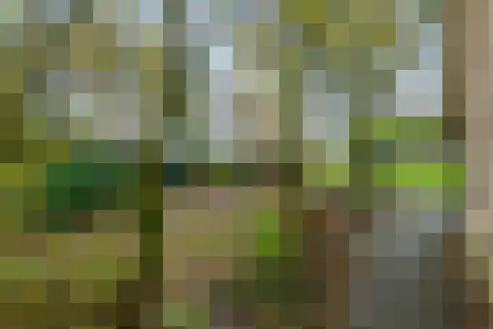 Nieuwe weg 2 Ingen thumbnail 11