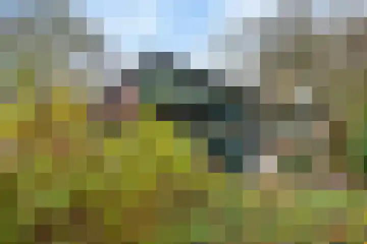 Nieuwe weg 2 Ingen thumbnail 12