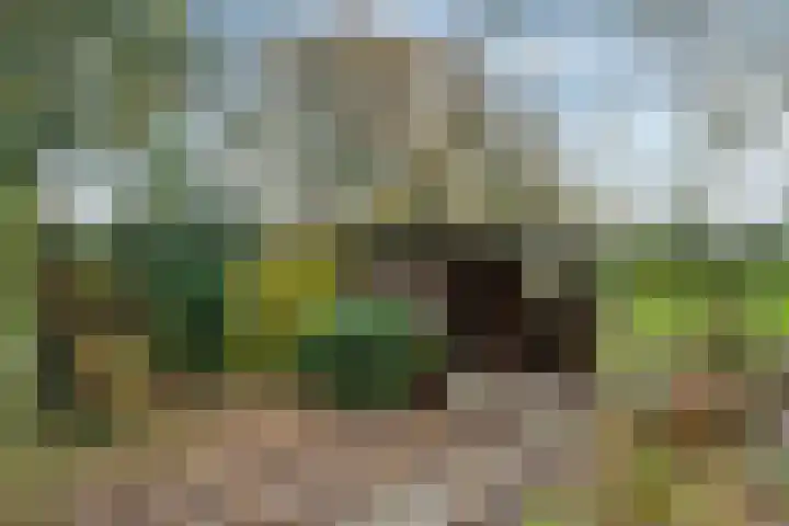 Nieuwe weg 2 Ingen thumbnail 13