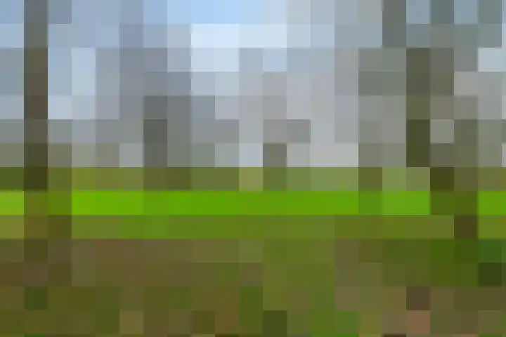 Nieuwe weg 2 Ingen thumbnail 14