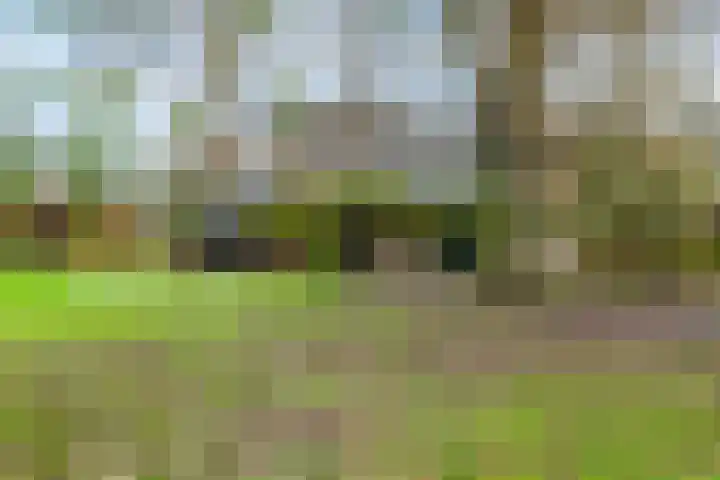 Nieuwe weg 2 Ingen thumbnail 15