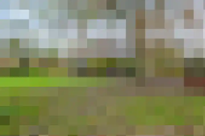 Nieuwe weg 2 Ingen thumbnail 16