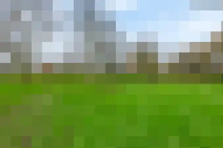 Nieuwe weg 2 Ingen thumbnail 17
