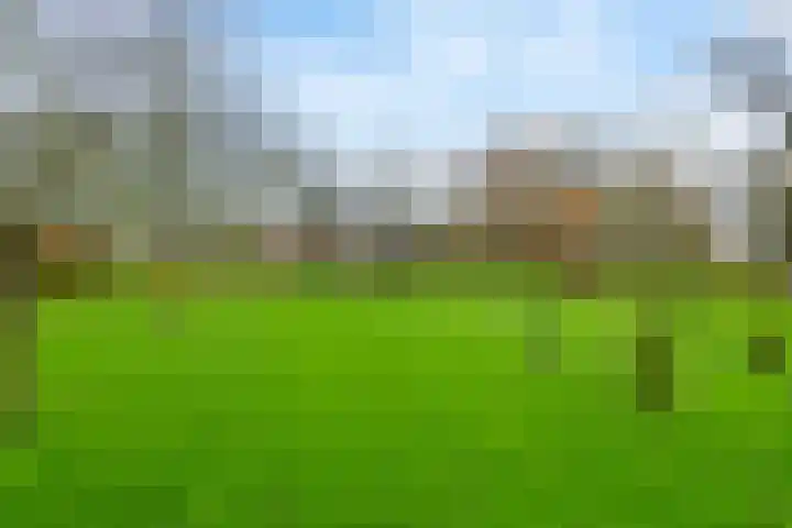 Nieuwe weg 2 Ingen thumbnail 18