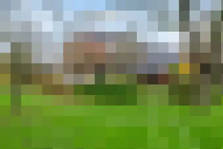 Nieuwe weg 2 Ingen thumbnail 19