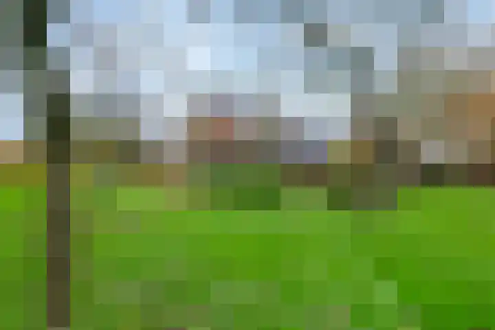 Nieuwe weg 2 Ingen thumbnail 20
