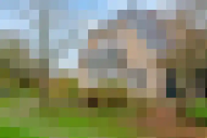 Nieuwe weg 2 Ingen thumbnail 21