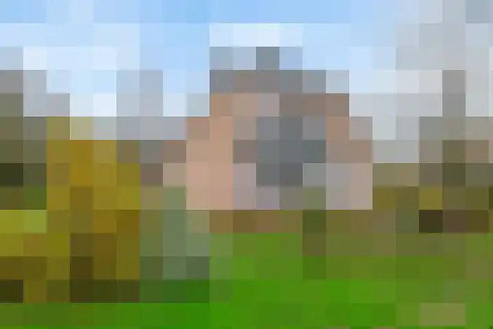 Nieuwe weg 2 Ingen thumbnail 22