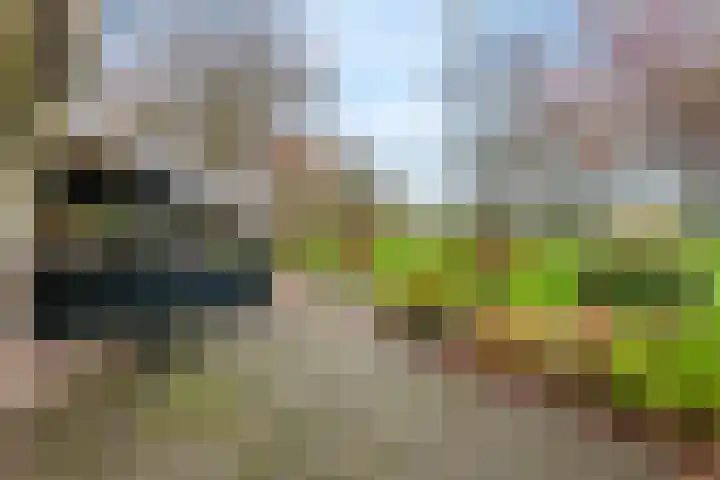 Nieuwe weg 2 Ingen thumbnail 23