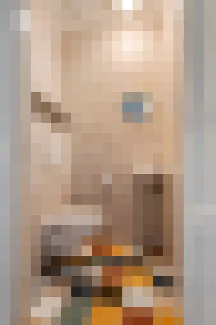 Nieuwe weg 2 Ingen thumbnail 28