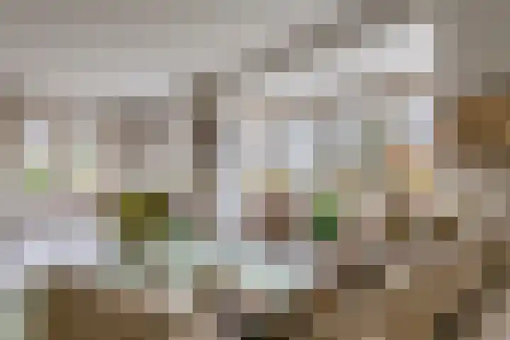 Nieuwe weg 2 Ingen thumbnail 39