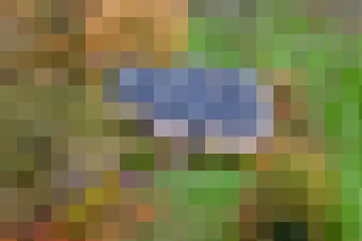 Nieuwe weg 2 Ingen thumbnail 4